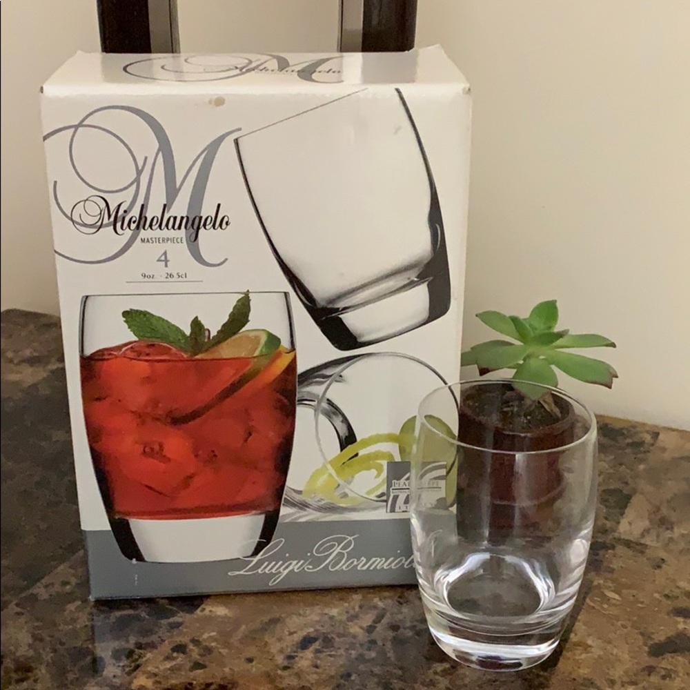 Luigi Bormioli Michelangelo 9 oz. glasses